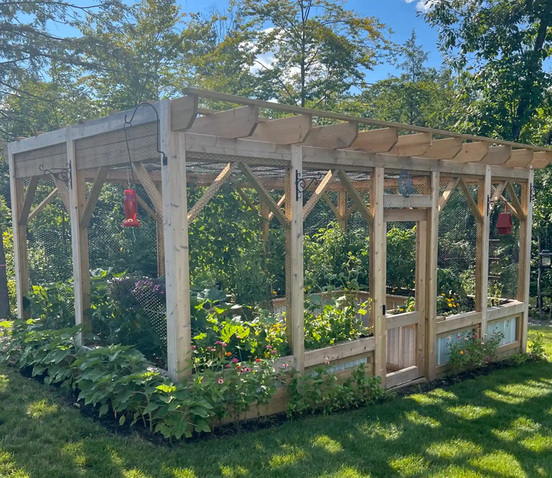 photo of a traditional garden pergola 